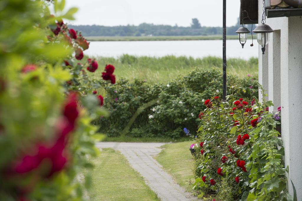 Pension Deichgraf Middelhagen Exterior foto
